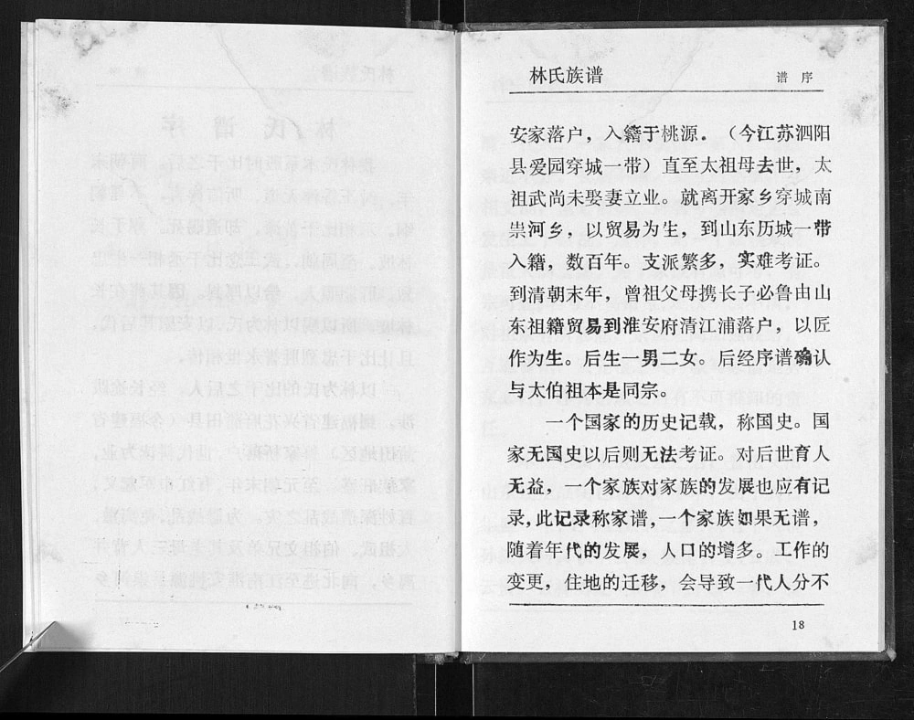 图片[5]-江苏淮安清江浦区林氏族谱（九木堂）电子版PDF下载-中华家谱网