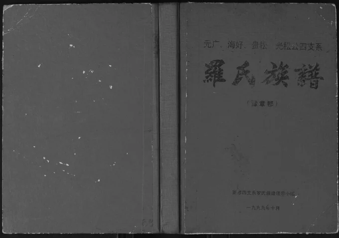 广西元广海好贵松光松公四支系罗氏族谱电子版PDF下载-中华家谱网