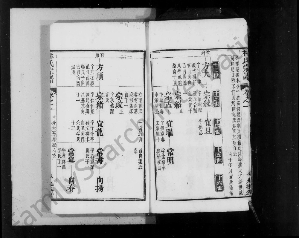 图片[8]-湖北麻城林氏宗谱（九牧堂）电子版PDF下载-中华家谱网