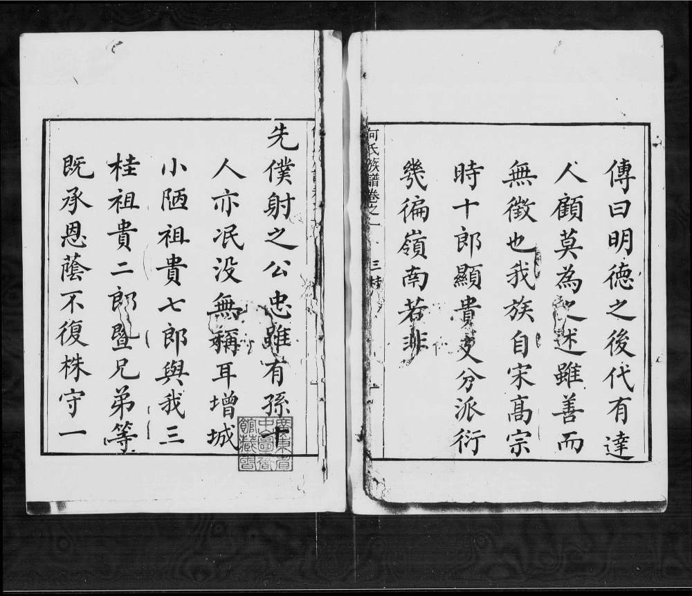 图片[2]-广东广州增城何氏族谱电子版PDF下载-中华家谱网