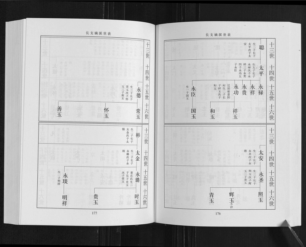 图片[8]-山东临沂临港区崖下李氏族谱（陇西堂）电子版PDF下载-中华家谱网