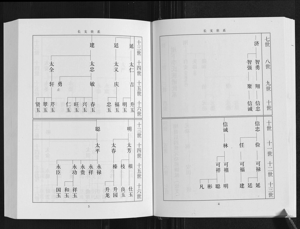 图片[5]-山东临沂临港区崖下李氏族谱（陇西堂）电子版PDF下载-中华家谱网