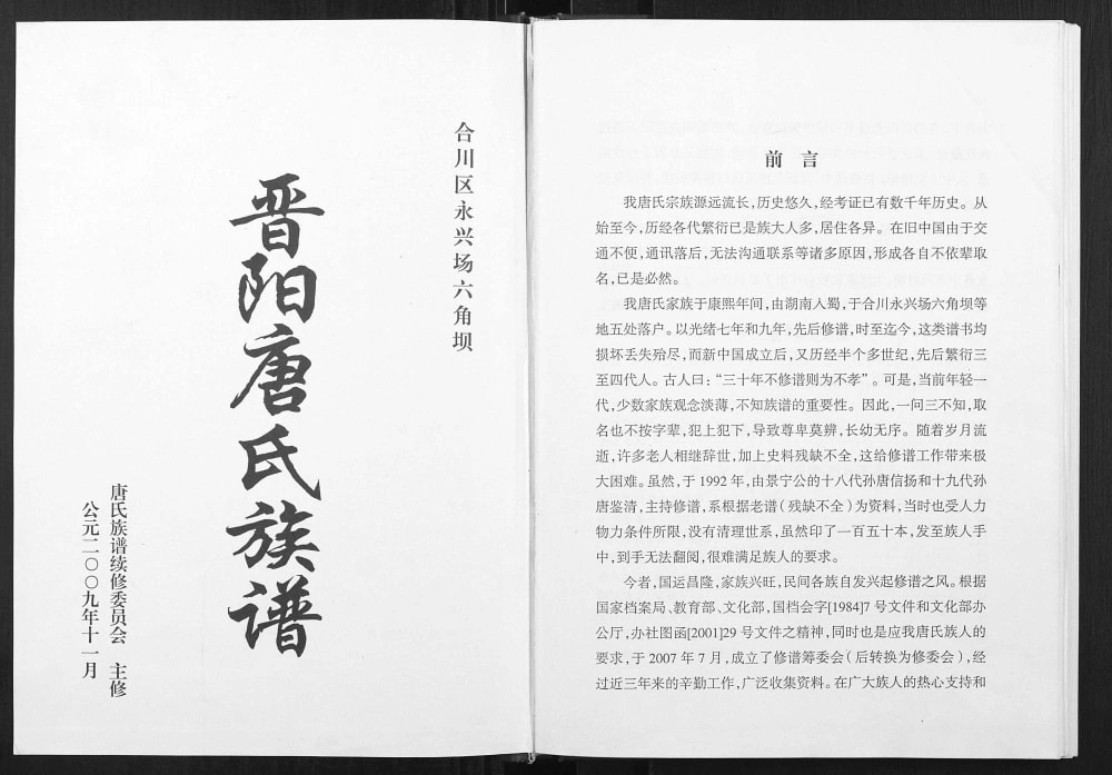 图片[2]-重庆合川区晋阳唐氏族谱电子版PDF下载-中华家谱网