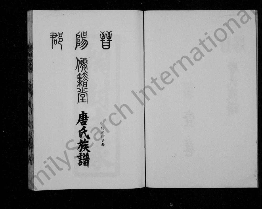 图片[1]-四川达州宣汉县唐氏族谱（儒籍堂）电子版PDF下载-中华家谱网