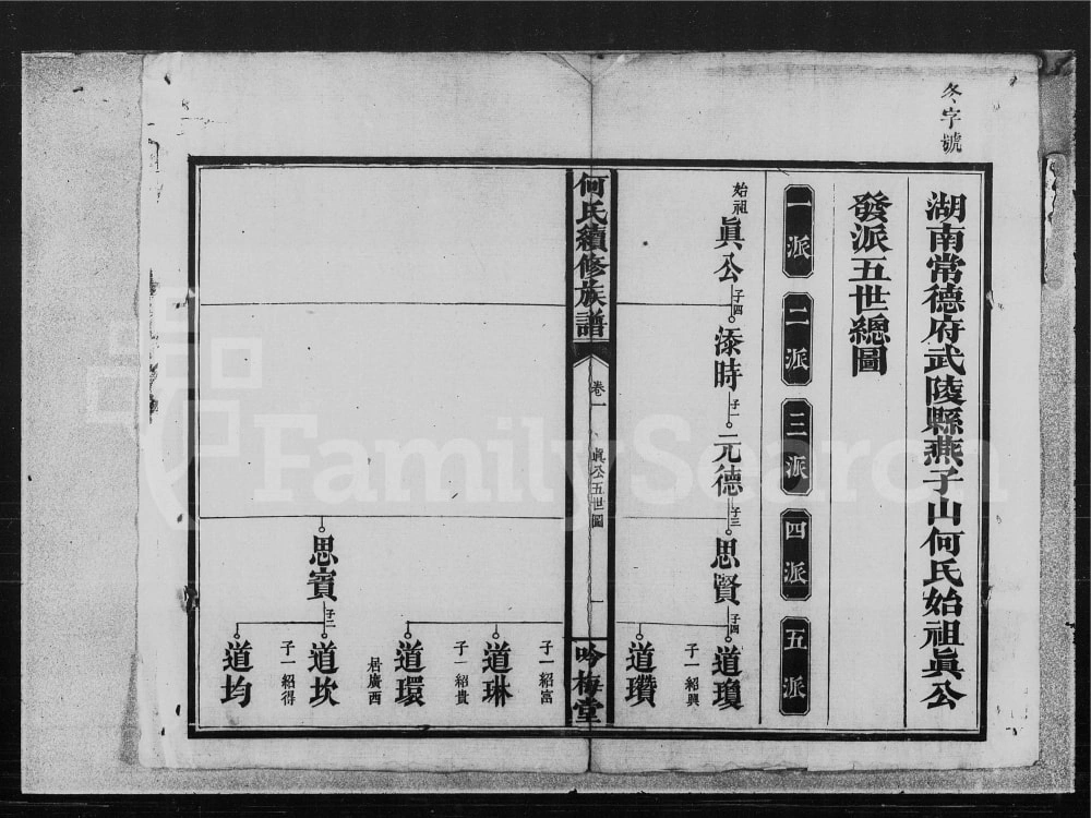 图片[5]-湖南常德何氏续修族谱（吟梅堂）电子版PDF下载-中华家谱网