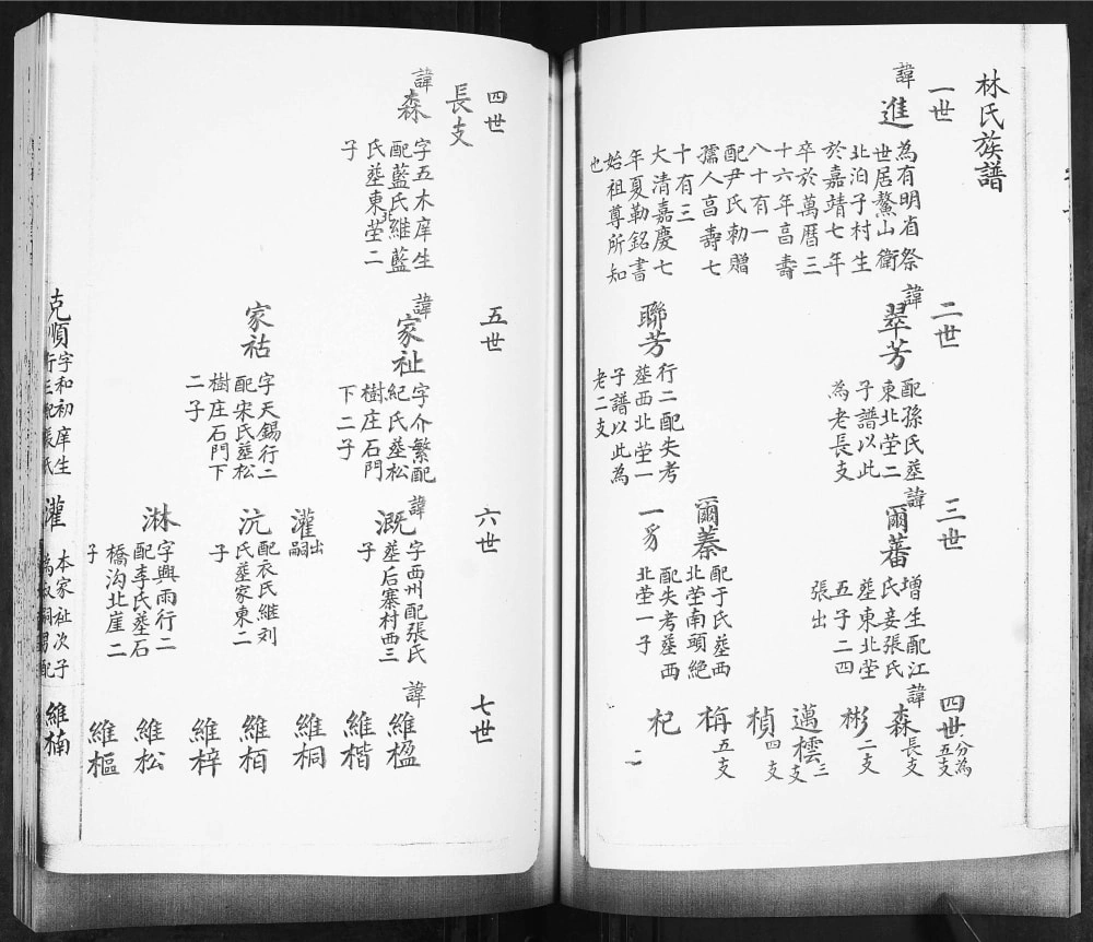 图片[4]-山东青岛即墨林氏世谱电子版PDF下载-中华家谱网
