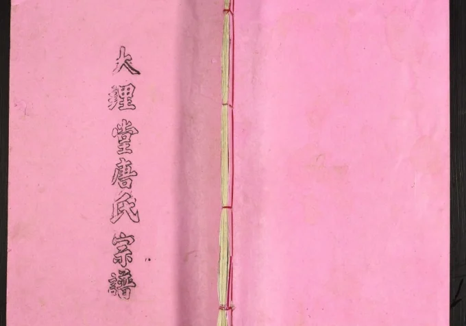 江苏高邮唐氏宗谱(大理堂)电子版PDF下载-中华家谱网