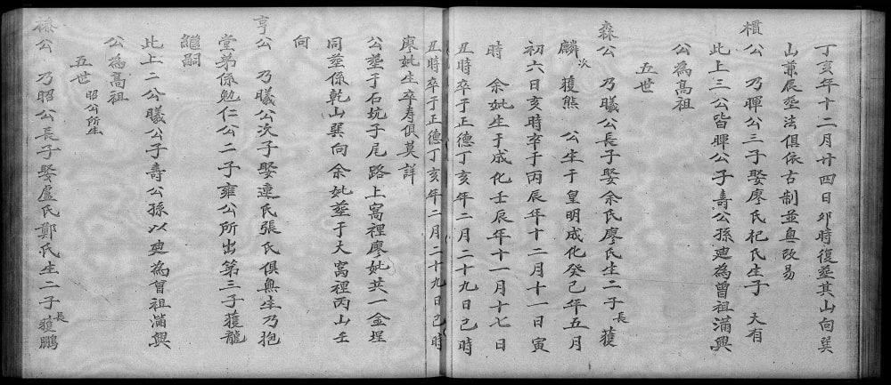图片[8]-香港林氏莆田县谱电子版PDF下载-中华家谱网