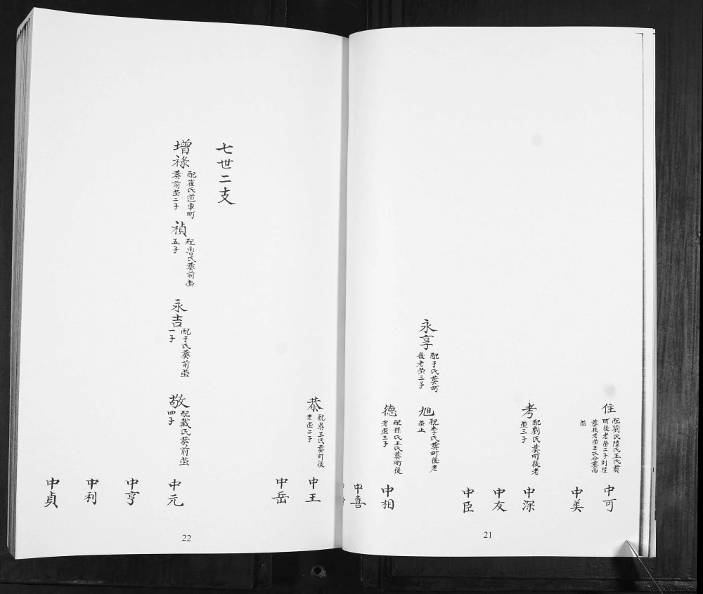 图片[5]-山东青岛即墨林氏族谱提纲宗派图电子版PDF下载-中华家谱网