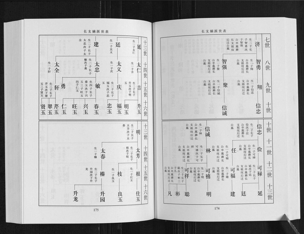 图片[7]-山东临沂临港区崖下李氏族谱（陇西堂）电子版PDF下载-中华家谱网
