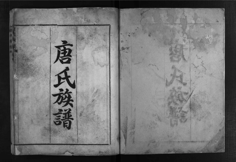 图片[1]-四川德阳罗江区唐氏族谱电子版PDF下载-中华家谱网