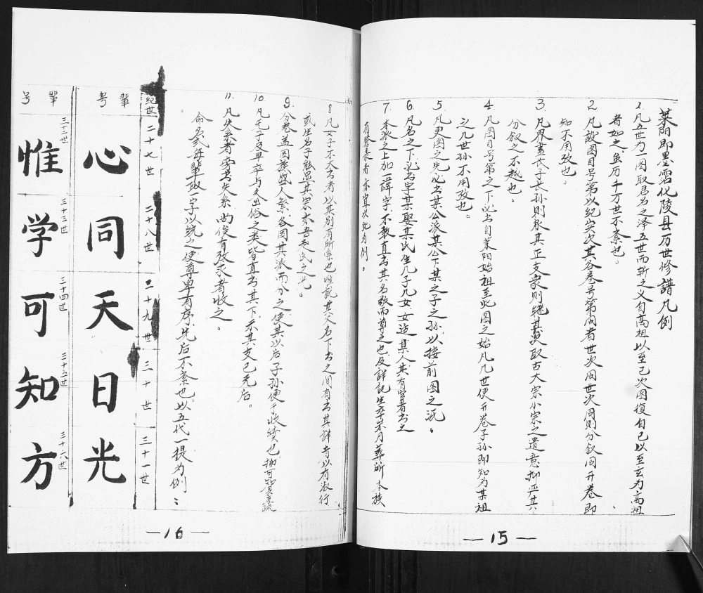 图片[4]-山东青岛即墨下疃赵氏南庄支谱电子版PDF下载-中华家谱网