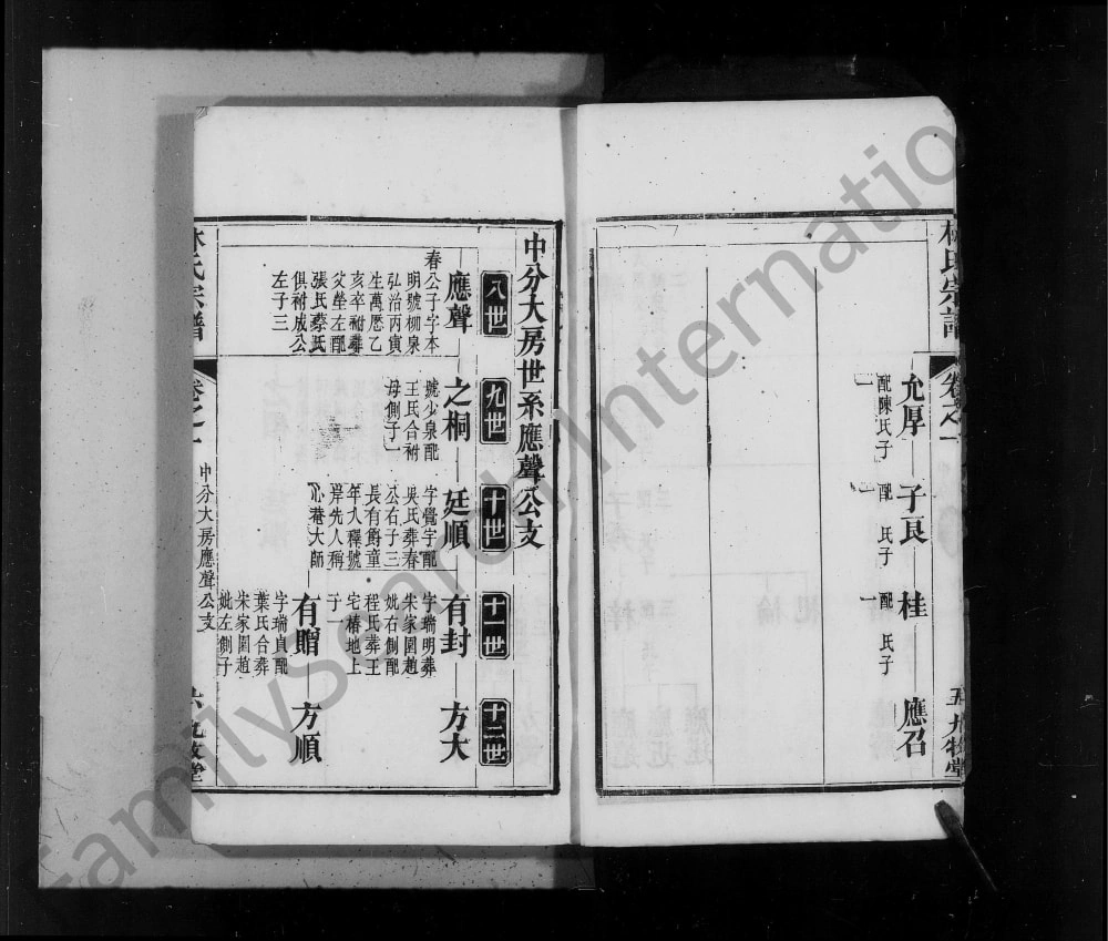 图片[6]-湖北麻城林氏宗谱（九牧堂）电子版PDF下载-中华家谱网