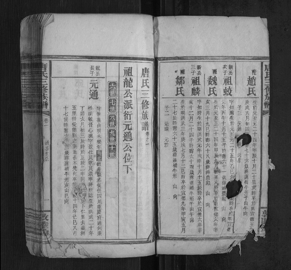 图片[5]-湖南邵东唐氏三修族谱（敦睦堂）电子版PDF下载-中华家谱网