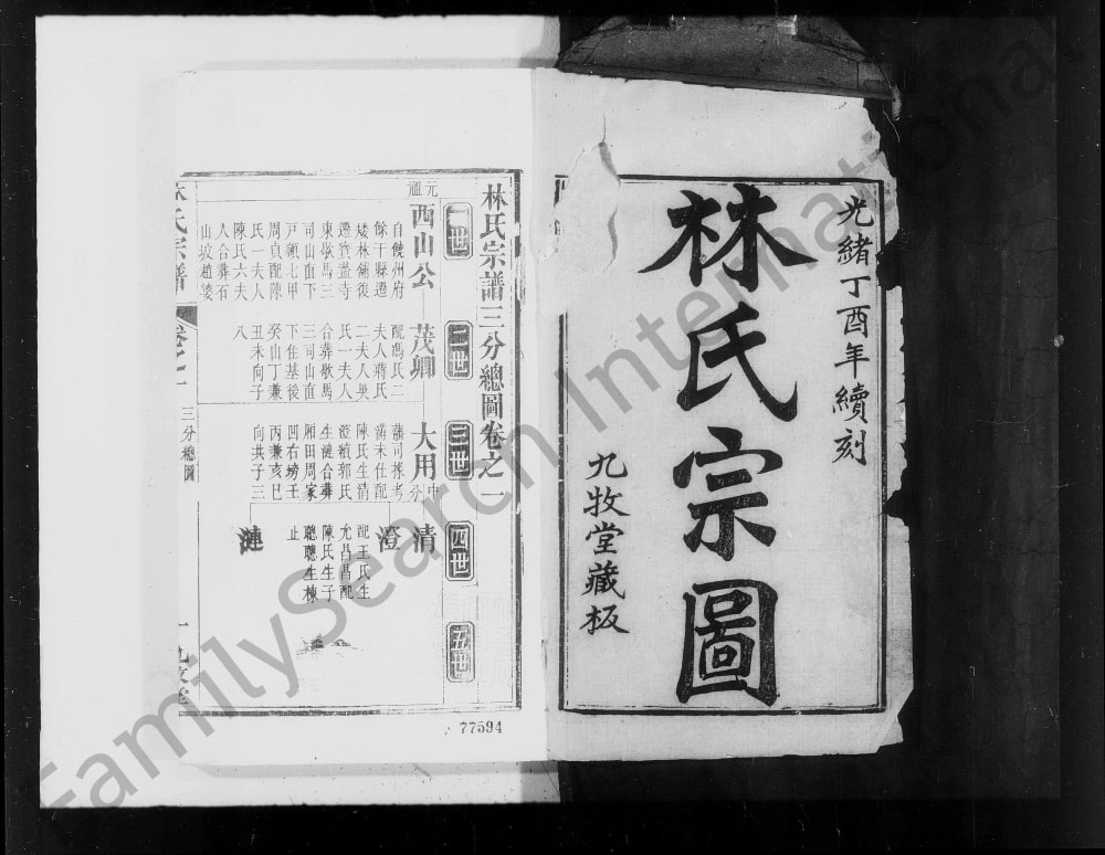 图片[1]-湖北麻城林氏宗谱（九牧堂）电子版PDF下载-中华家谱网