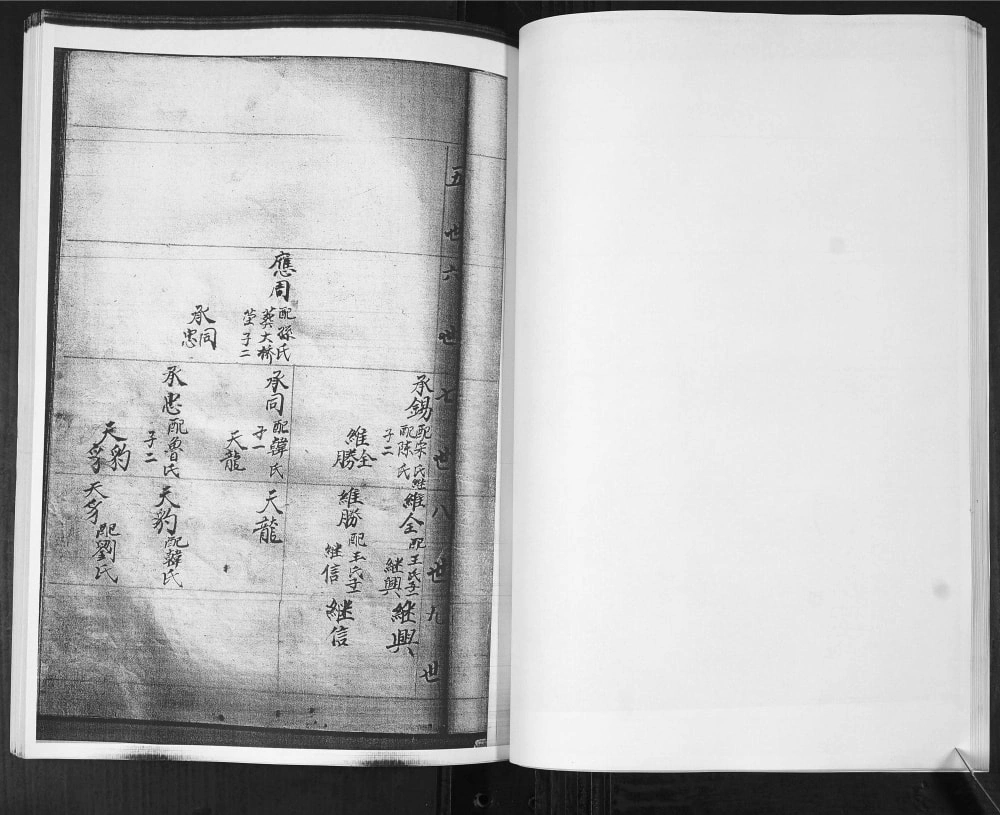 图片[8]-山东即墨龙湾头绿豆圈羊山后黄龙庄李氏族谱电子版PDF下载-中华家谱网