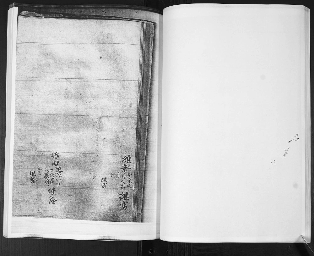 图片[7]-山东即墨龙湾头绿豆圈羊山后黄龙庄李氏族谱电子版PDF下载-中华家谱网