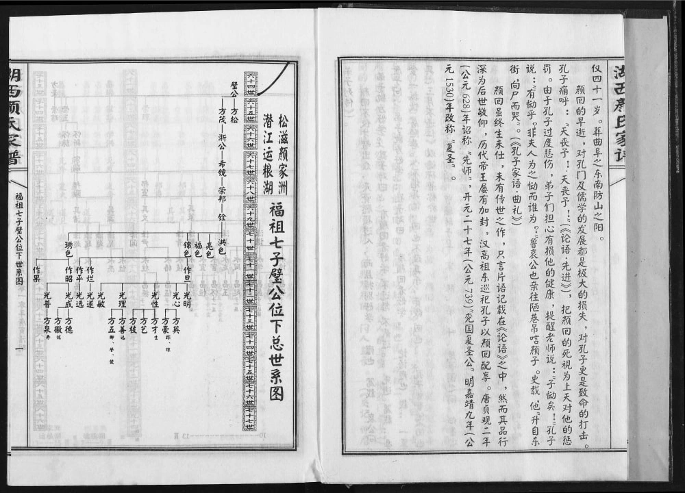 图片[7]-湖南常德湖西颜氏家谱（复圣堂）电子版PDF下载-中华家谱网
