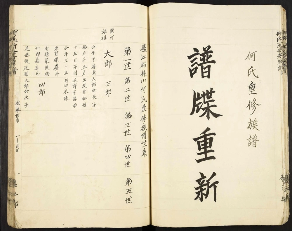 图片[5]-江西赣州于都夏山何氏沂公房草谱电子版PDF下载-中华家谱网
