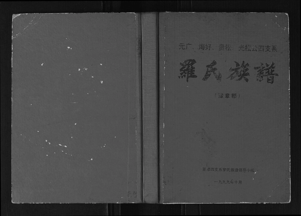 图片[1]-广西元广海好贵松光松公四支系罗氏族谱电子版PDF下载-中华家谱网