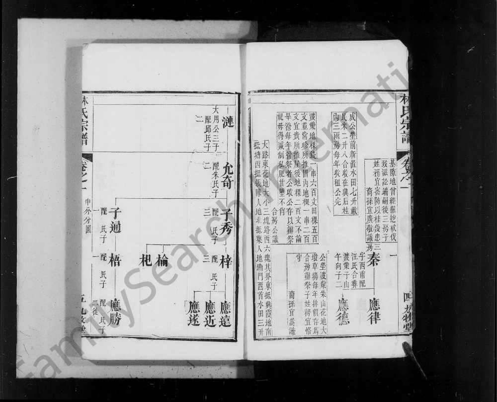 图片[5]-湖北麻城林氏宗谱（九牧堂）电子版PDF下载-中华家谱网