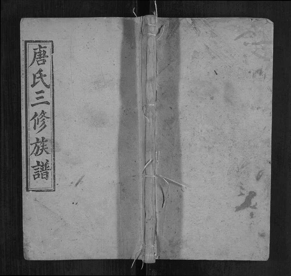 图片[1]-湖南邵东唐氏三修族谱（敦睦堂）电子版PDF下载-中华家谱网