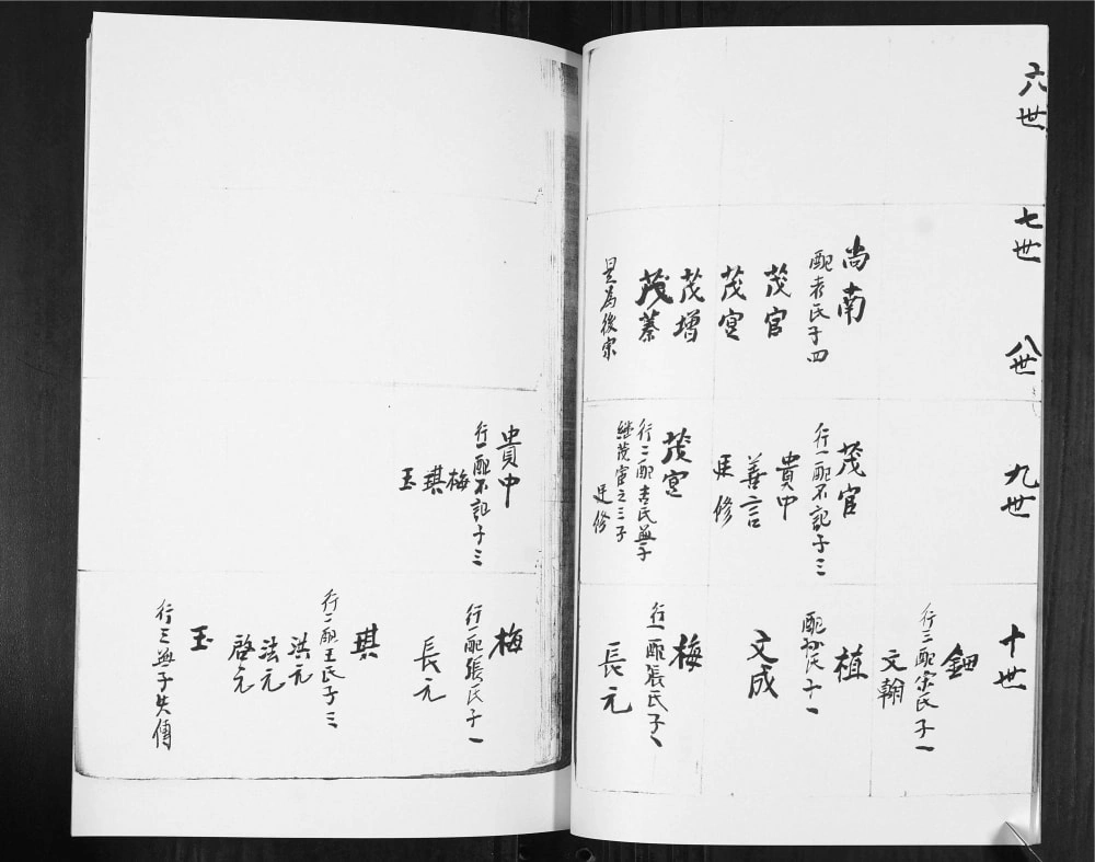 图片[8]-山东青岛即墨女儿村李氏族谱电子版PDF下载-中华家谱网
