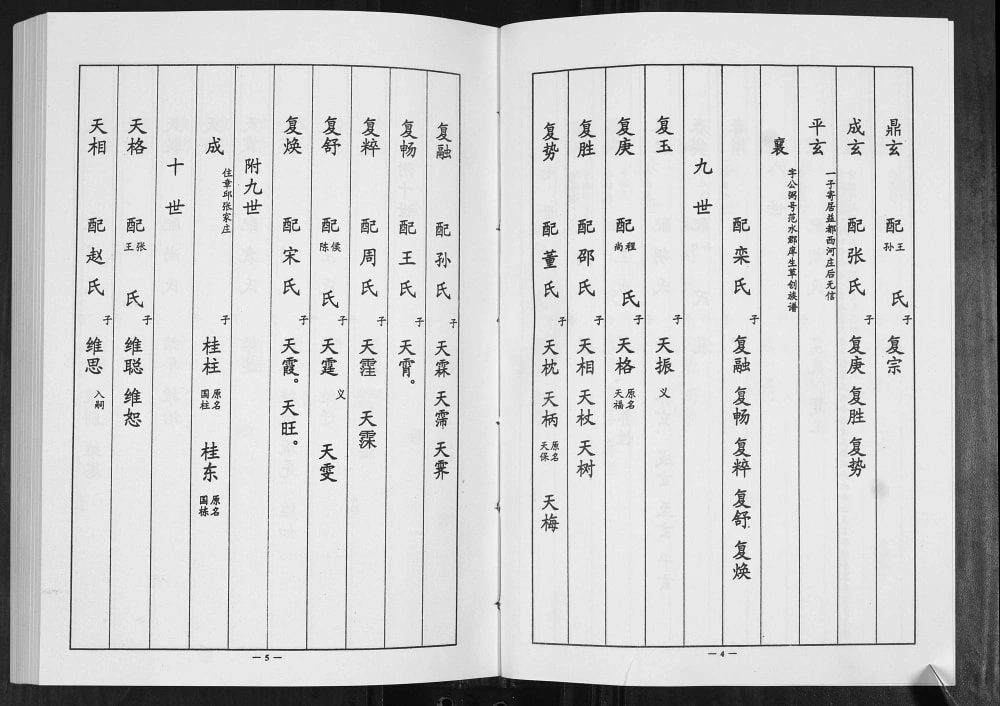 图片[6]-山东淄博淄川区李氏族谱电子版PDF下载-中华家谱网