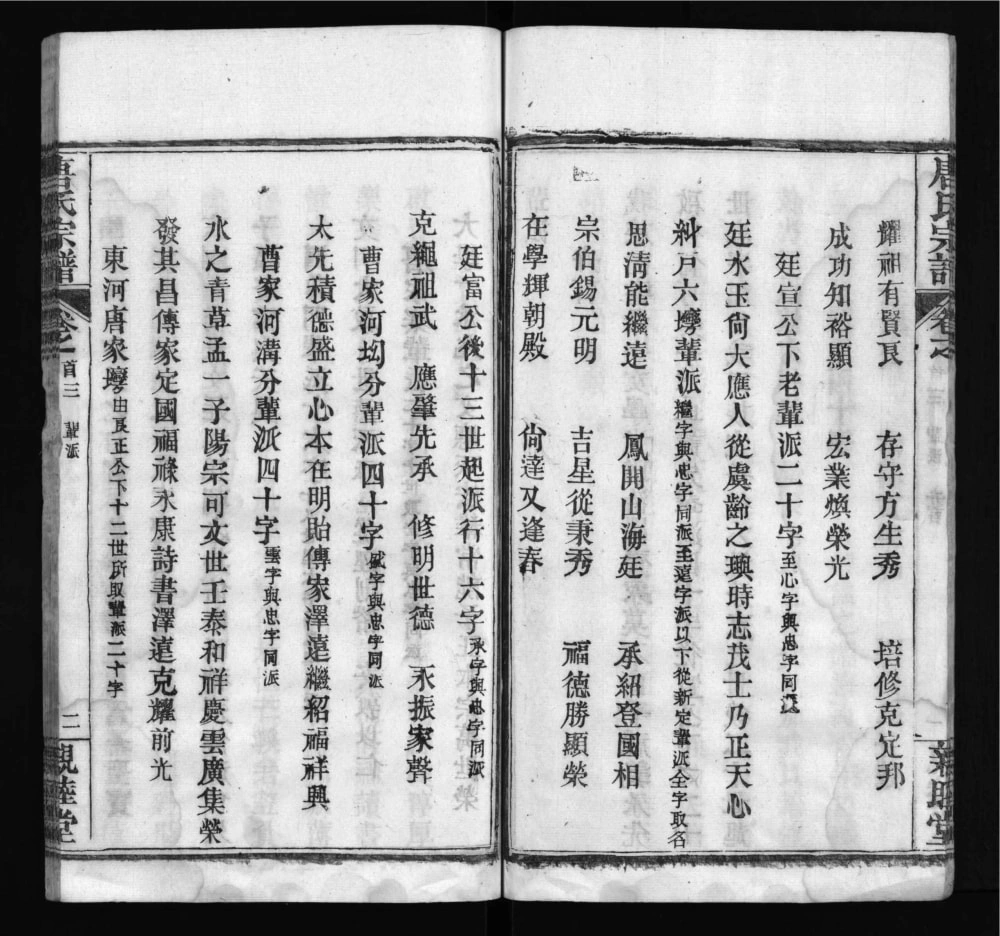 图片[4]-湖北麻城唐氏宗谱（亲睦堂）电子版PDF下载-中华家谱网
