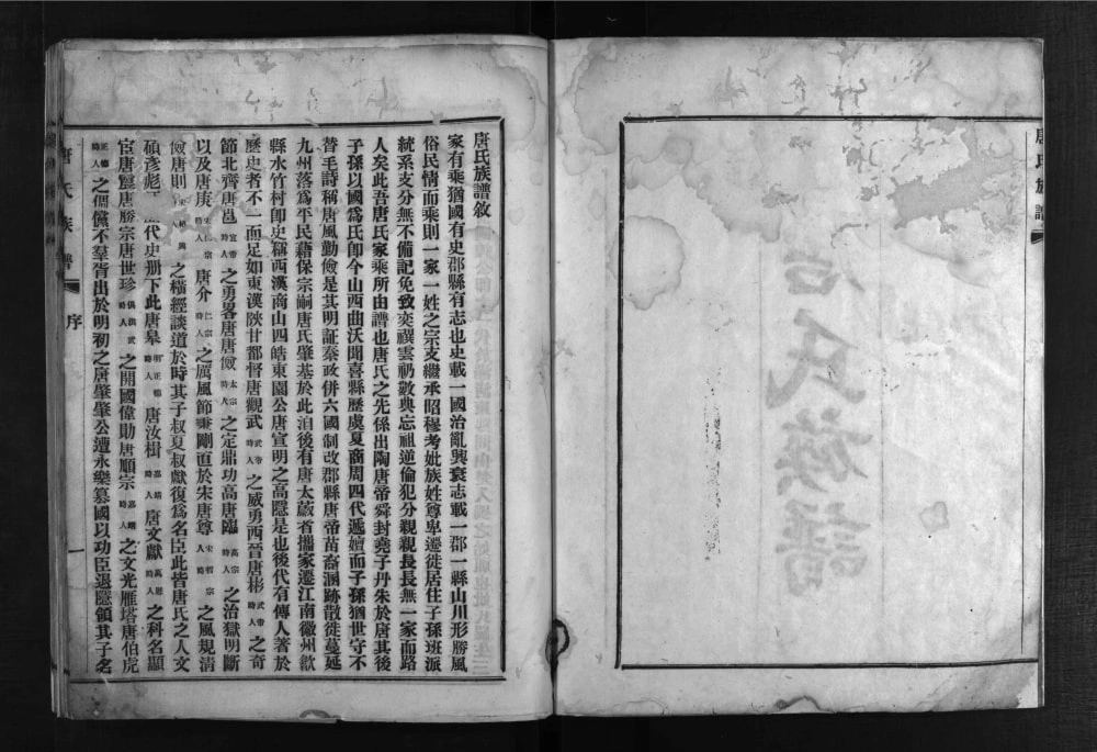 图片[2]-四川德阳罗江区唐氏族谱电子版PDF下载-中华家谱网