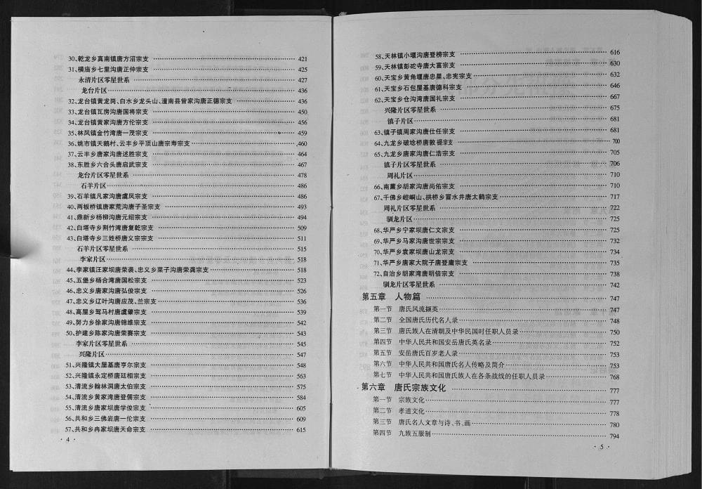 图片[5]-‌四川资阳安岳唐氏宗谱电子版PDF下载-中华家谱网