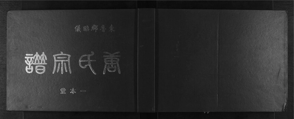 图片[1]-广西桂林灌阳县东鲁郡昭仪唐氏宗谱（一本堂）电子版PDF下载-中华家谱网