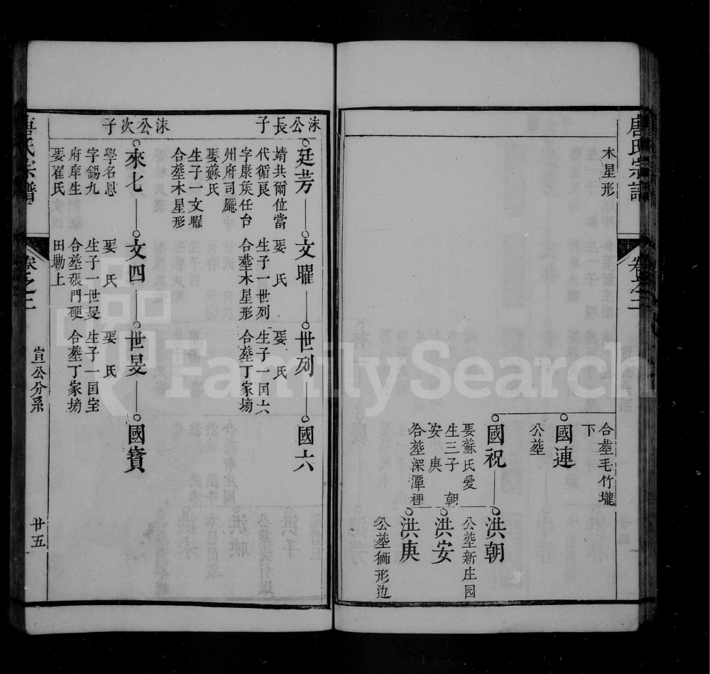 图片[8]-安徽池州石台县唐氏宗谱电子版PDF下载-中华家谱网