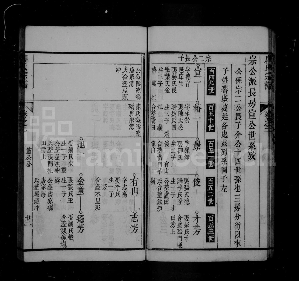 图片[5]-安徽池州石台县唐氏宗谱电子版PDF下载-中华家谱网