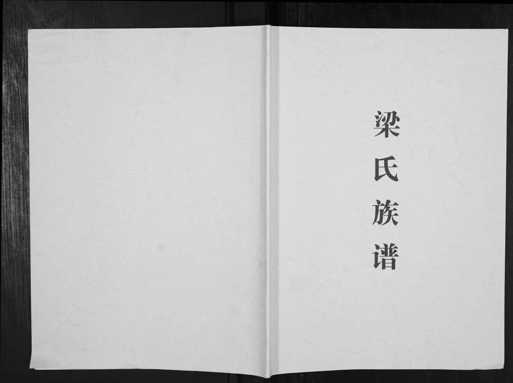 图片[1]-广西柳州三江县梁氏族谱（安定堂）电子版PDF下载-中华家谱网