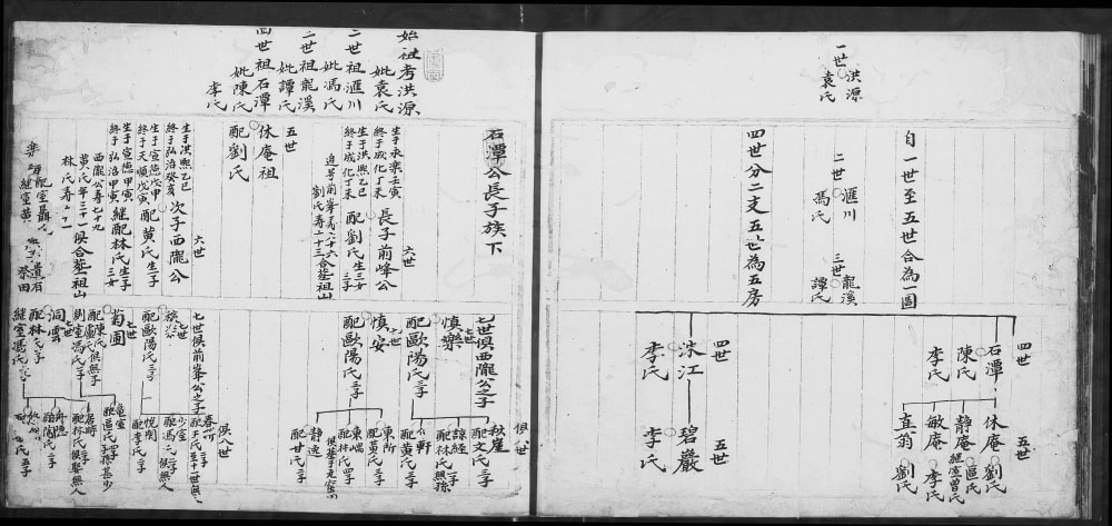 图片[4]-广东江门新会区白石唐氏族谱电子版PDF下载-中华家谱网