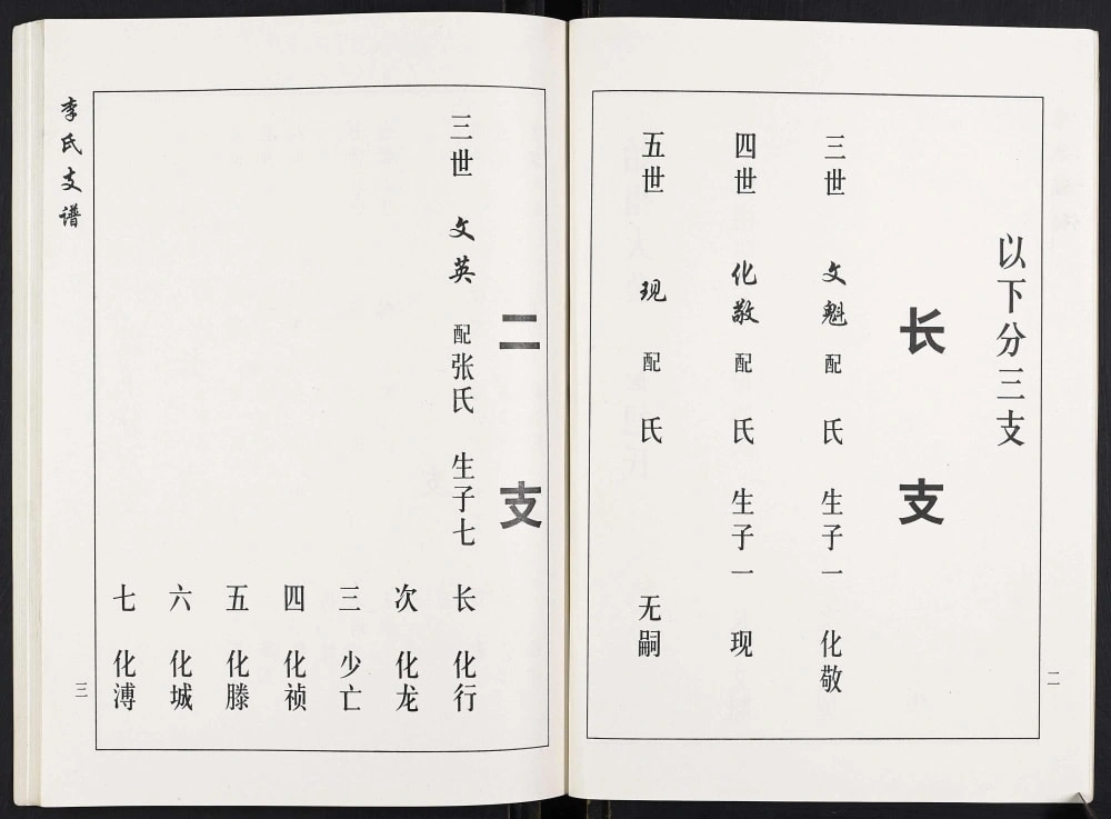 图片[6]-山东临沂沂水县西桃花李氏族谱电子版PDF下载-中华家谱网