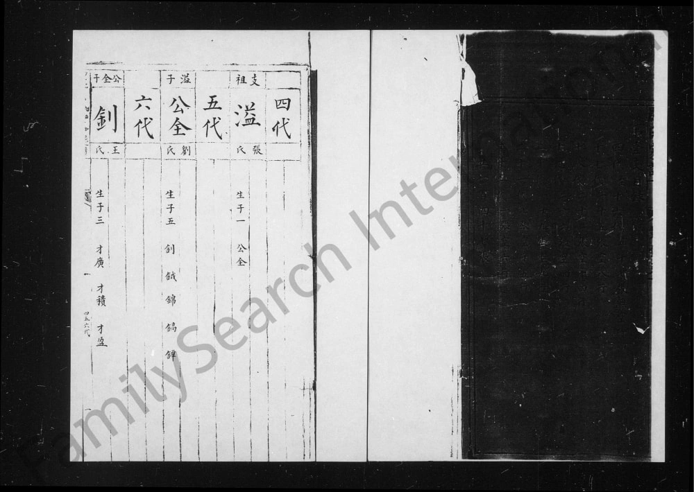 图片[6]-山西太原清徐县清源罗氏家谱电子版PDF下载-中华家谱网