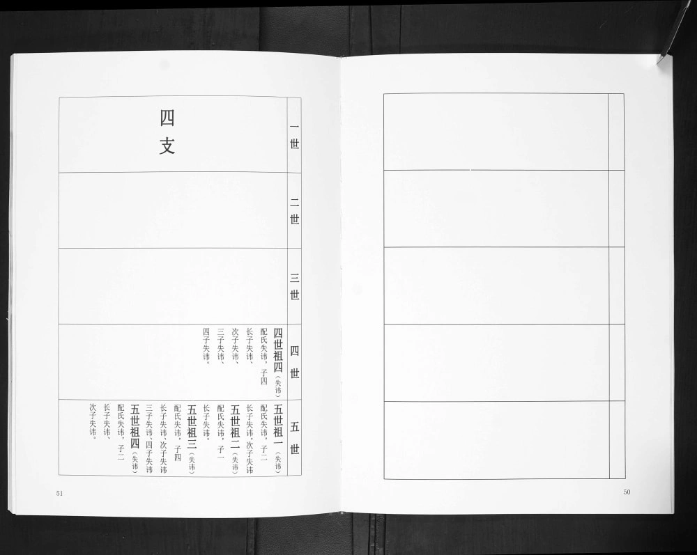 图片[8]-山东临沂河东区赵庄村司家岭后朱汪李氏族谱（思槐堂）电子版PDF下载-中华家谱网