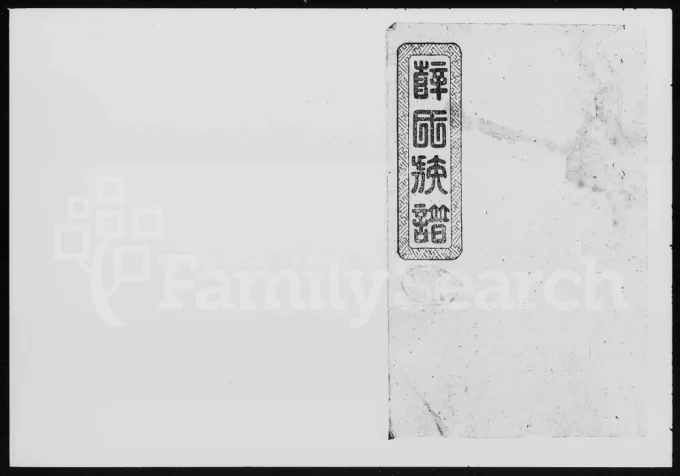 湖南益阳薛氏族谱电子版PDF下载-中华家谱网