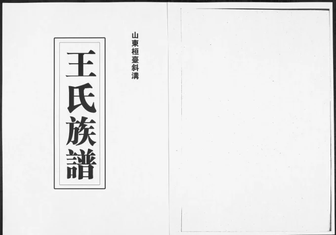 山东淄博桓台斜沟王氏族谱-中华家谱网