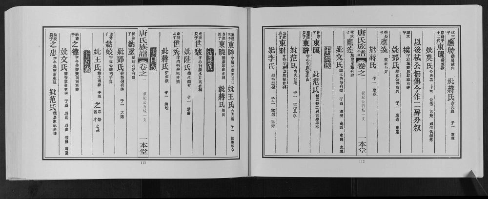 图片[7]-广西桂林灌阳县东鲁郡昭仪唐氏宗谱（一本堂）电子版PDF下载-中华家谱网