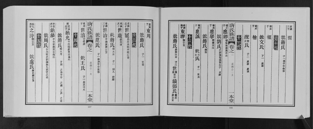 图片[4]-广西桂林灌阳县东鲁郡昭仪唐氏宗谱（一本堂）电子版PDF下载-中华家谱网