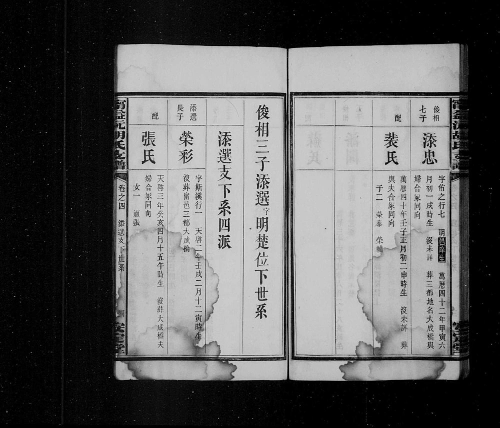 图片[8]-湖南宁乡益阳安化沅江宁益沅胡氏支谱（安定堂）电子版PDF下载-中华家谱网