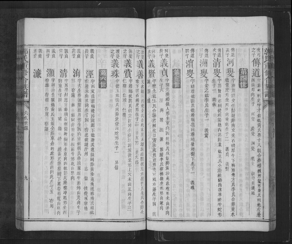 图片[3]-湖南郴州桂东县郭氏族谱电子版PDF下载-中华家谱网
