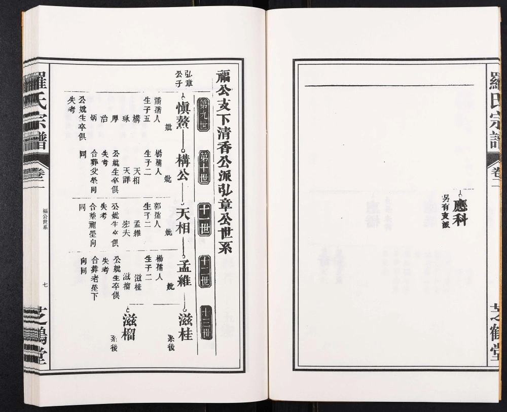 图片[5]-安徽合肥关家庙旧镇庙罗氏宗谱（芝鹤堂）电子版PDF下载-中华家谱网