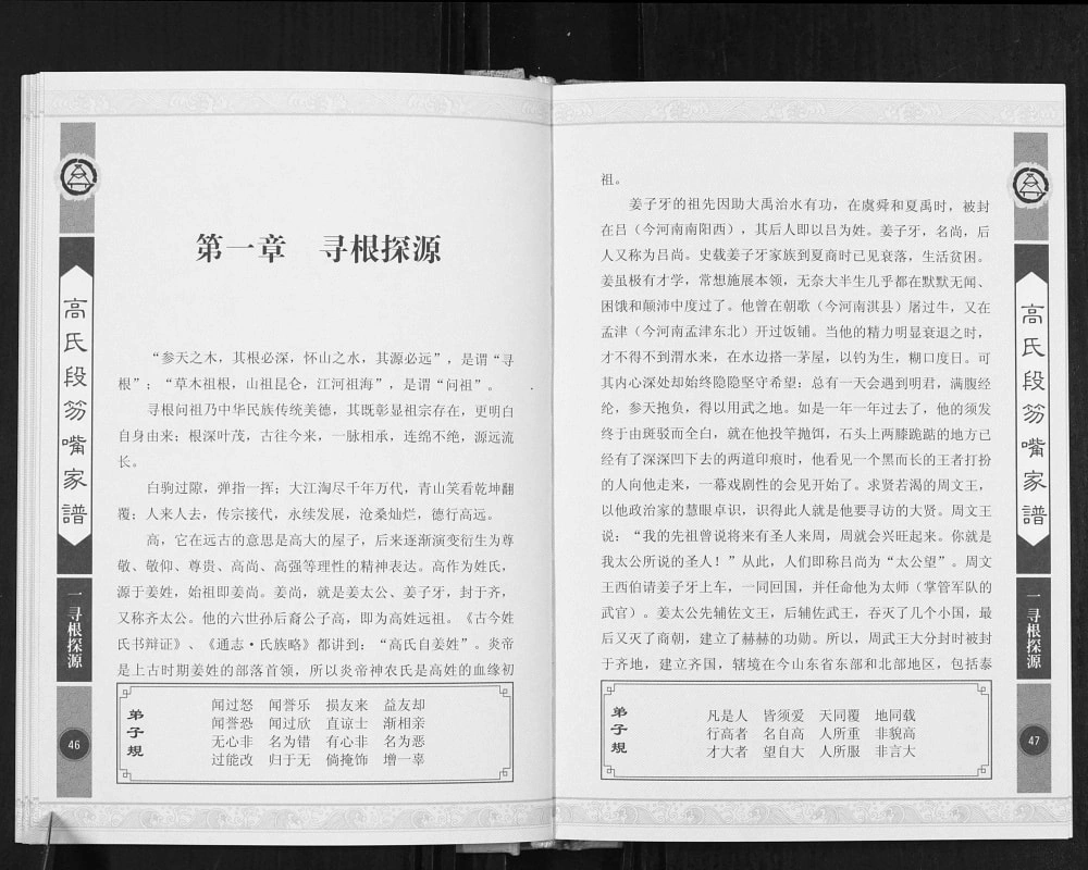 图片[3]-山西忻州神池县高氏段笏嘴家谱电子版PDF下载-中华家谱网