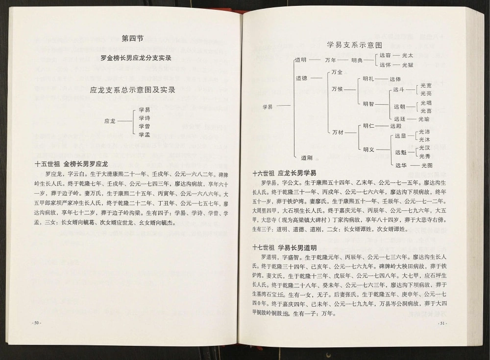 图片[6]-重庆万州区罗氏族谱电子版PDF下载-中华家谱网