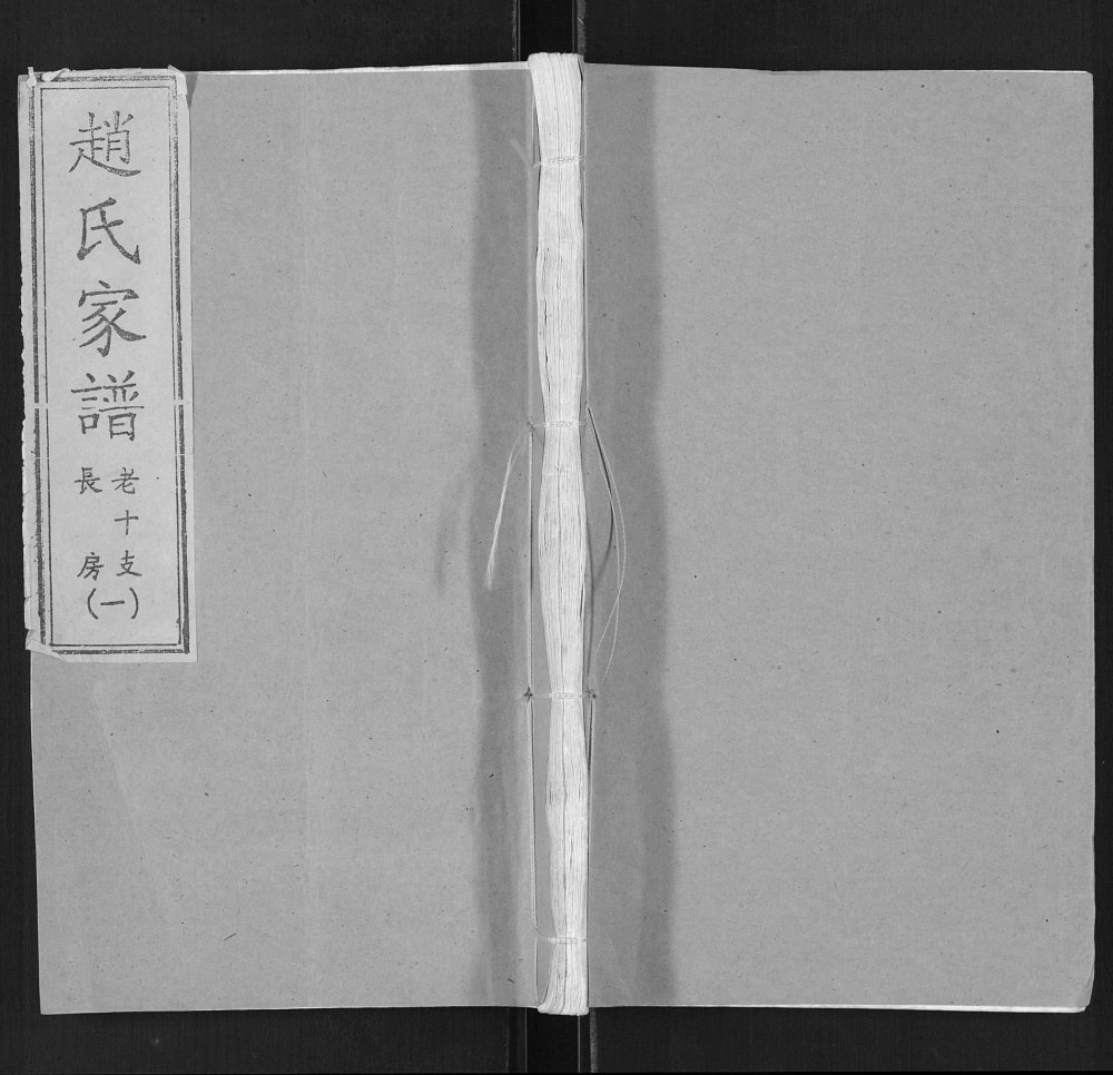 图片[1]-山东临沂兰陵县赵氏家谱电子版PDF下载-中华家谱网