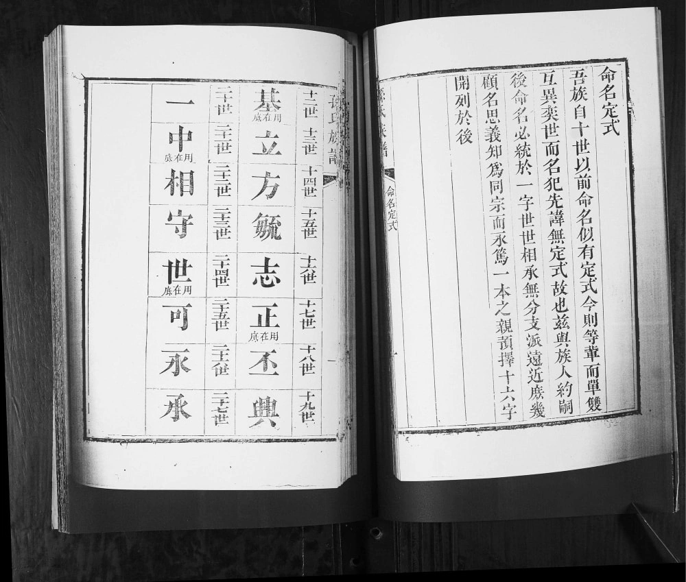 图片[3]-山东青岛城阳区孙氏族谱（永远堂）电子版PDF下载-中华家谱网